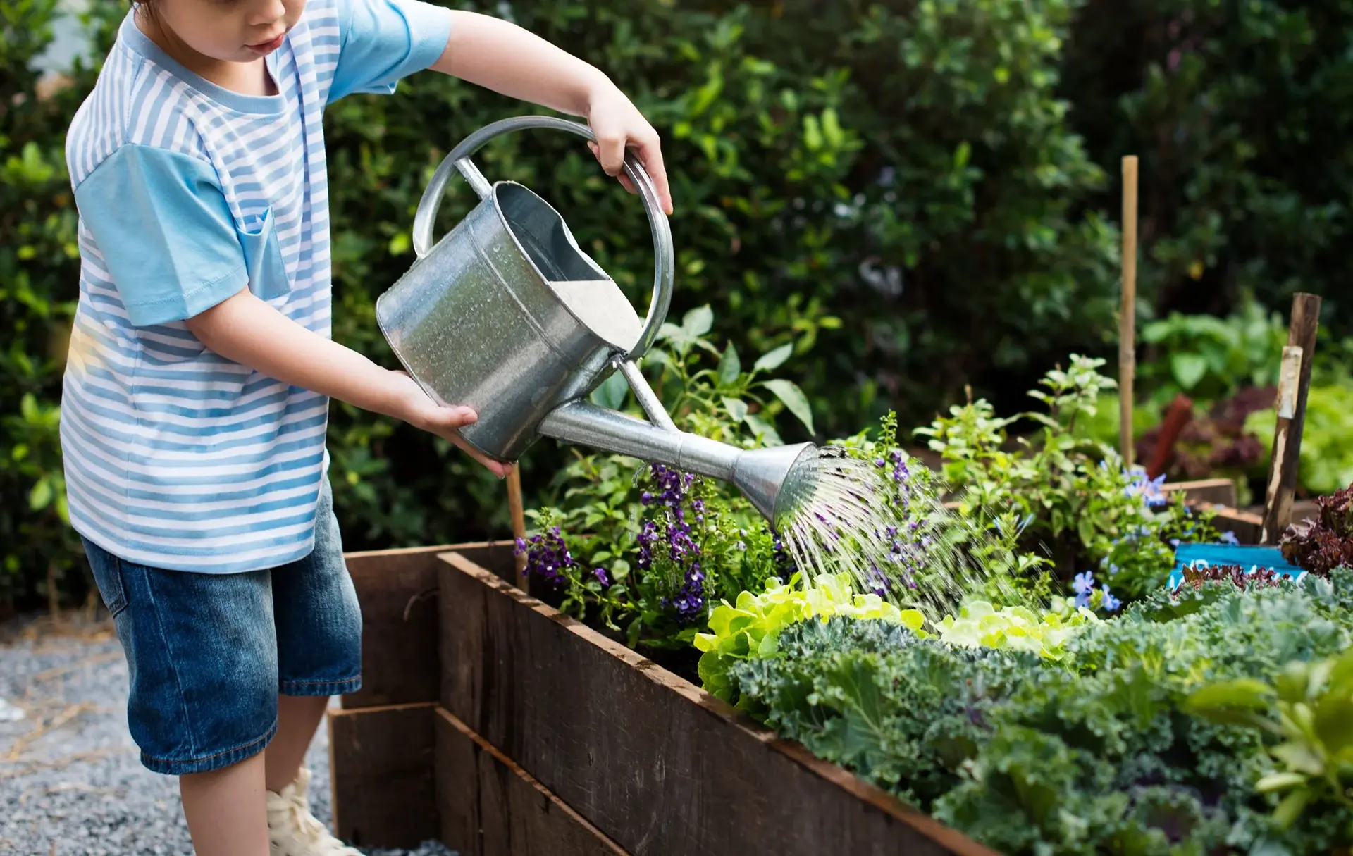 Vegetable planter boxes small garden Edmonton