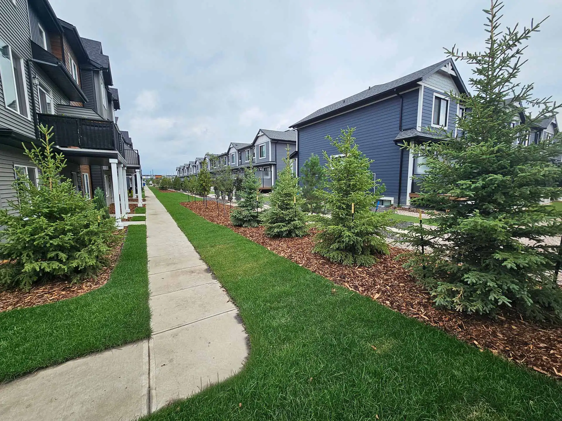 Brookfield Residential multi-family landscape installation by Landscape Specialists, Edmonton