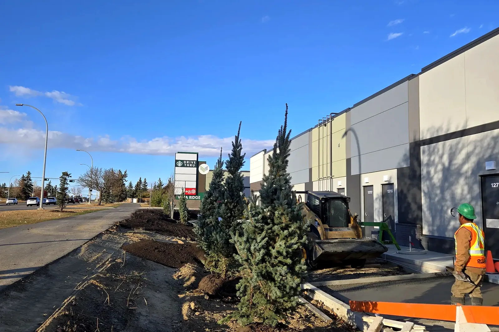 Commercial landscaping and tree planting at a retail plaza in Edmonton