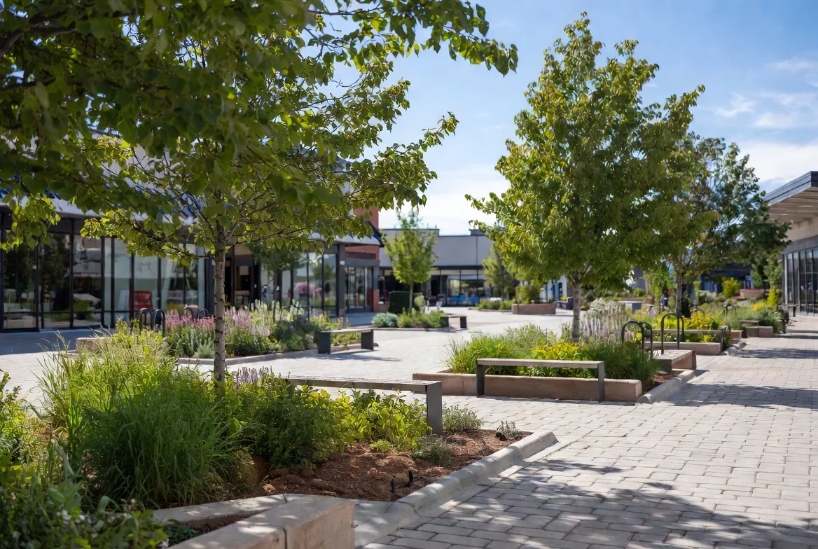 Commercial plaza landscaping in Edmonton with paving stone, raised planters, and integrated site furniture
