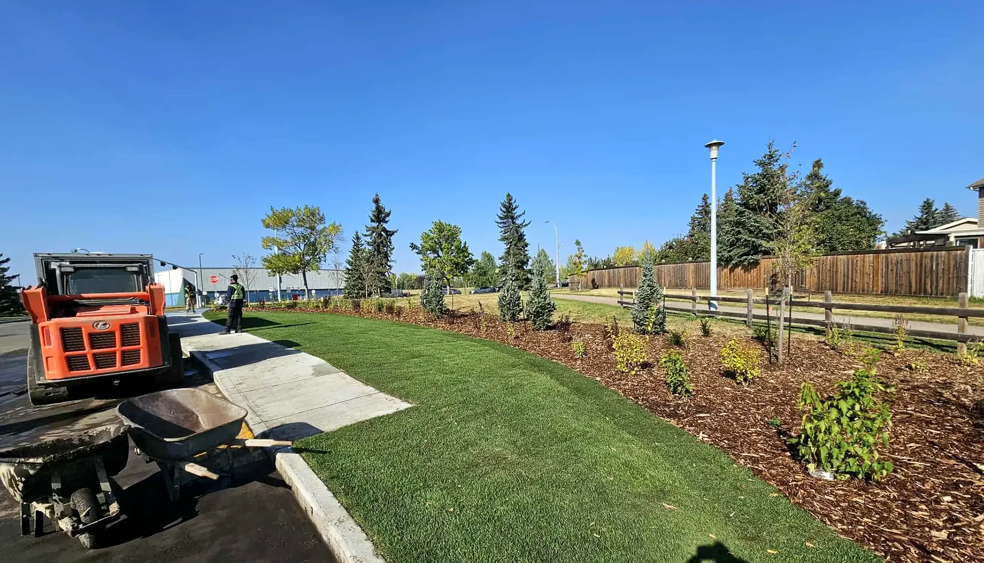 Commercial sod installation on a landscaping project in Edmonton by Landscape Specialists