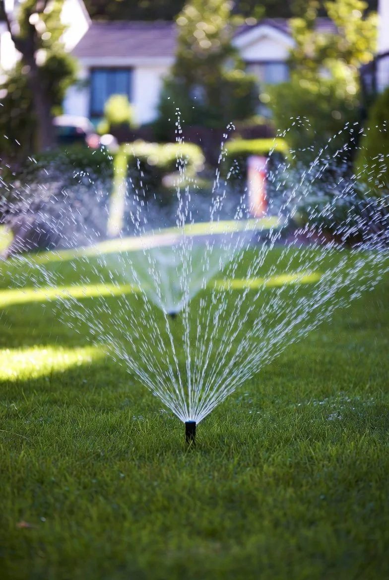 Pop-up sprinkler heads watering a lawn in Edmonton